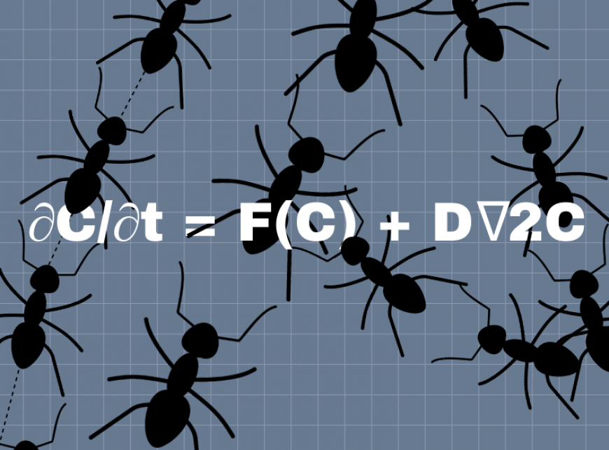 Illustration of ants on top of the Turing equation. Image credit: Chloe Oliva