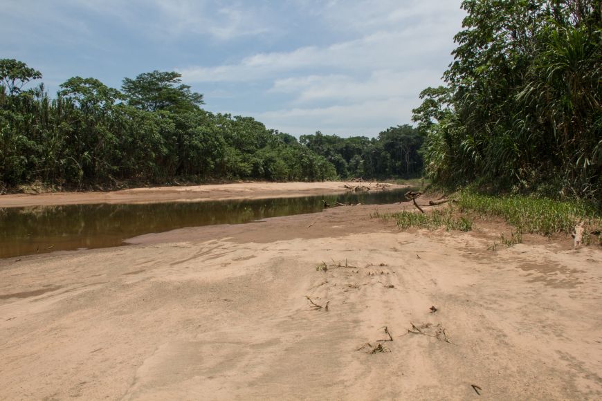 Research by Overpeck predicts climate change will make Amazon rainforest drier