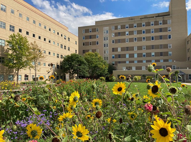 MLA alumna helps design therapeutic green space for local hospital