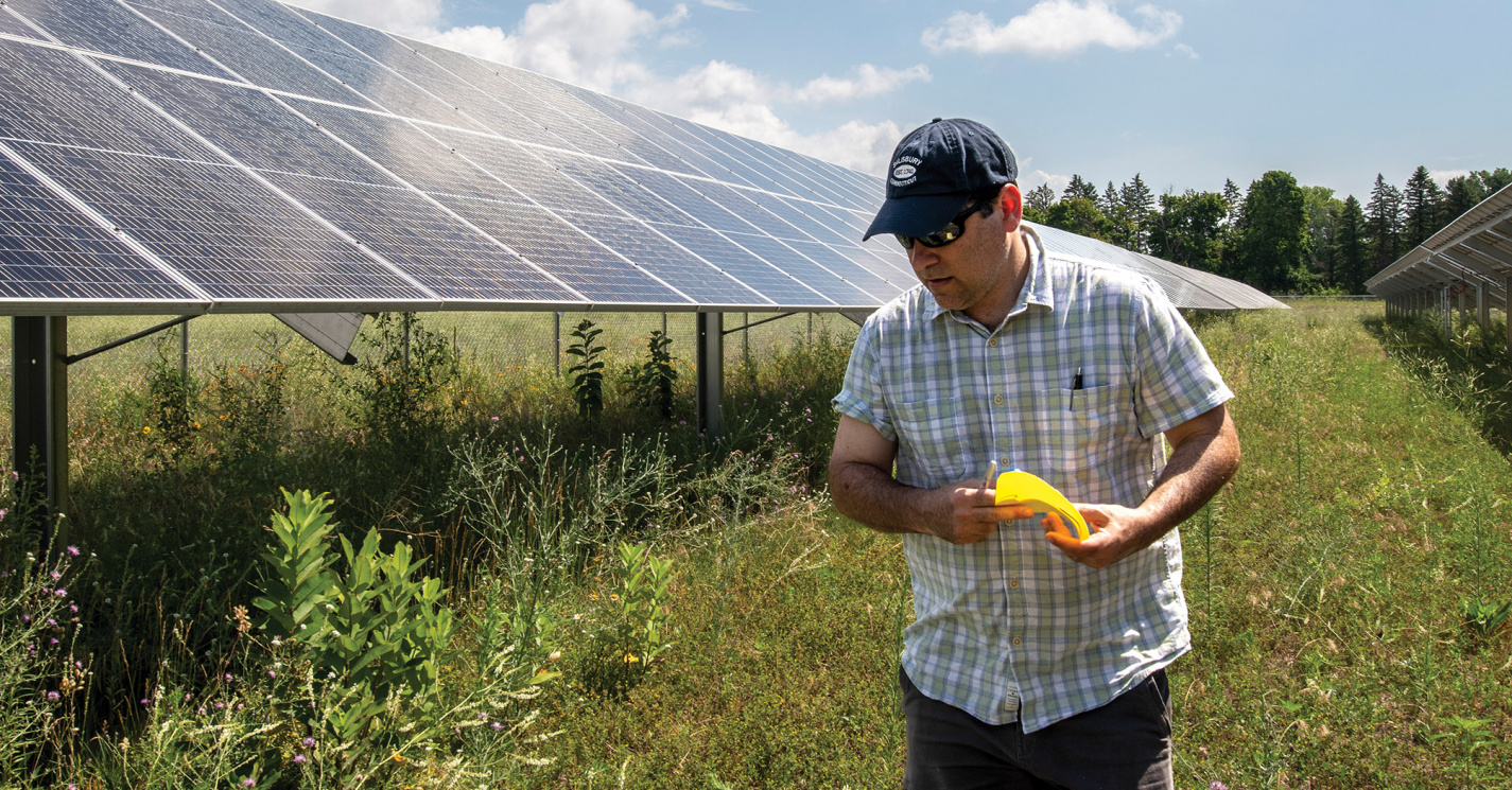 SEAS Assistant Research Scientist Brendan O’Neill looks over pollinator plants at the Cadillac Solar Gardens.